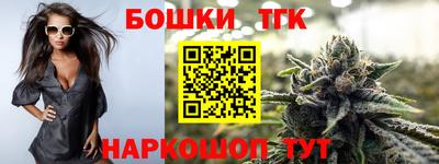 СК Дубна