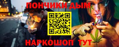 СК Дубна