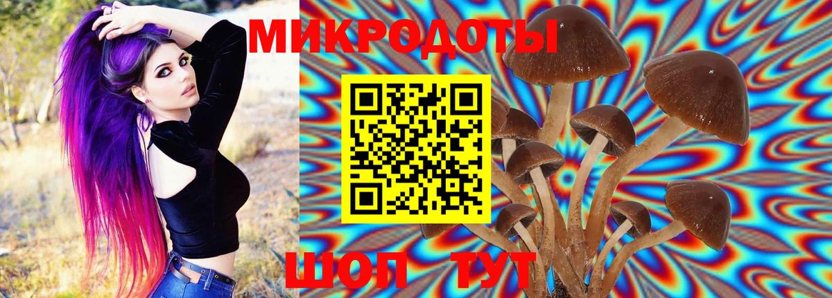 Нижний Новгород  купить наркотики цена  Вход с VPN  Псилоцибиновые грибы Cubensis 